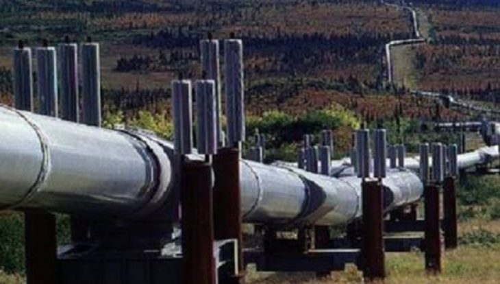 The 1,445km (897) miles East Africa Crude Oil Pipeline (EACOP) project will run from Hoima in Uganda to Tanga in Tanzania. [PHOTO | FILE]